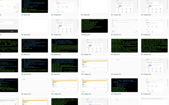 Security testing and auditing